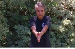 Alejandro Jorge Carulli