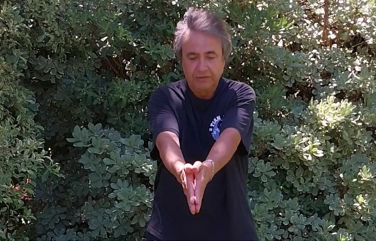 Alejandro Jorge Carulli